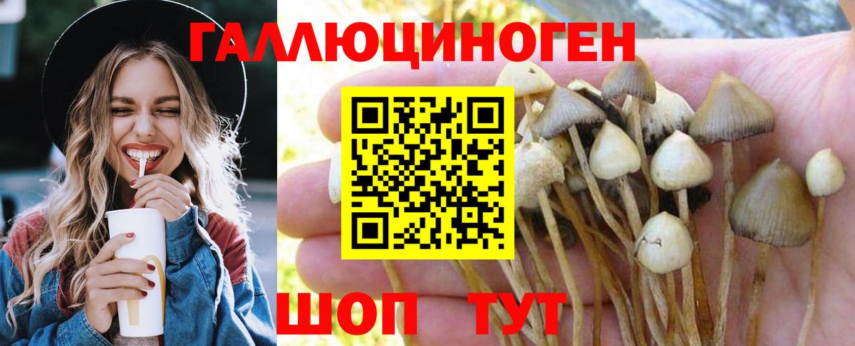 Корсаков  хочу   Вход с VPN  Галлюциногенные грибы мухоморы 