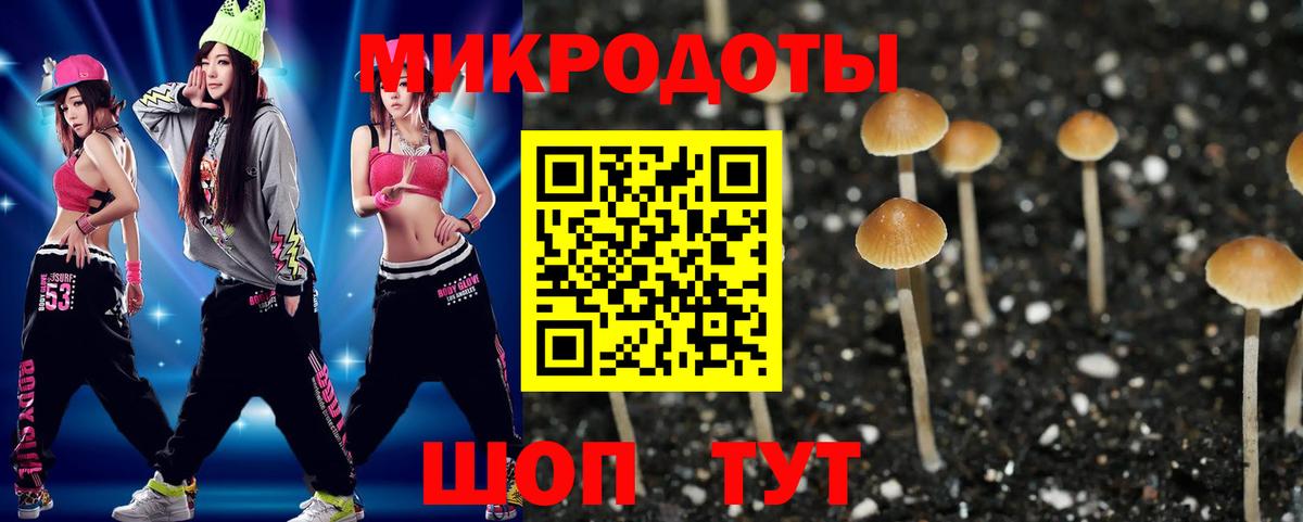 Галлюциногенные грибы Cubensis Корсаков